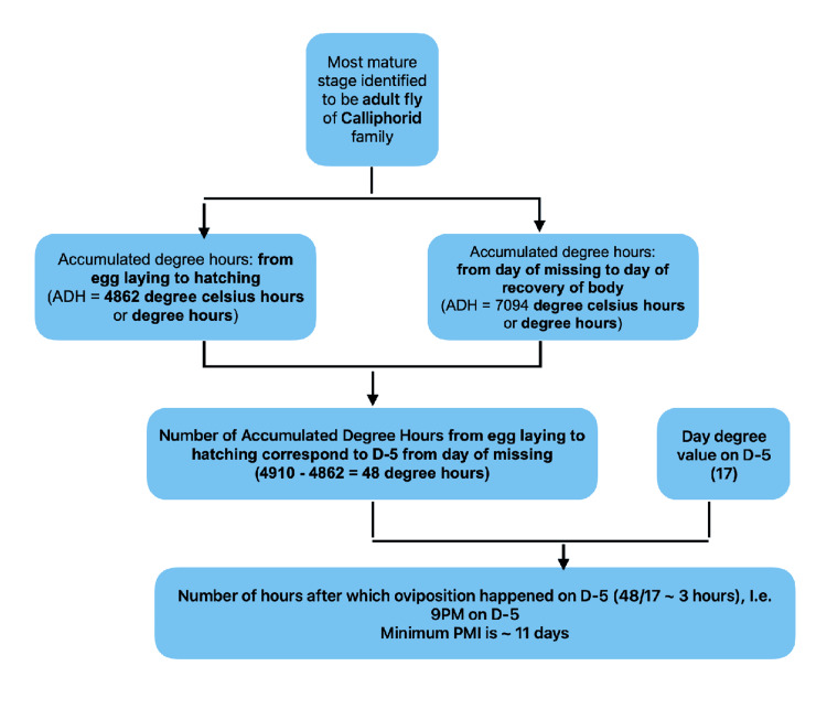 Figure 12