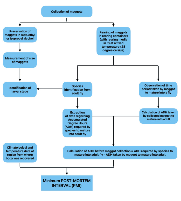 Figure 13