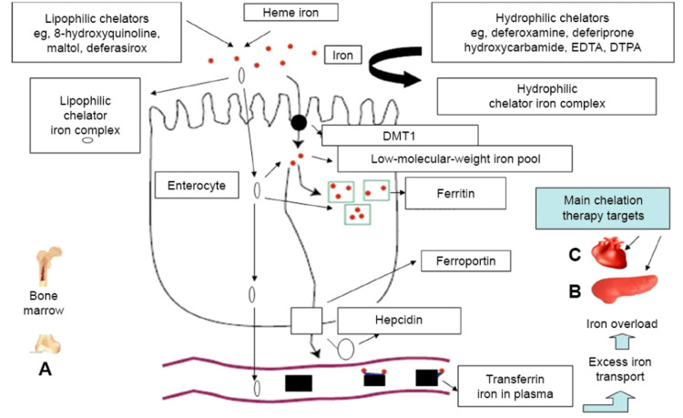 Figure 7