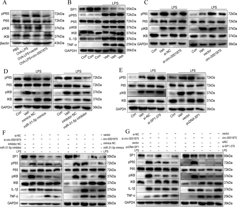 Figure 6