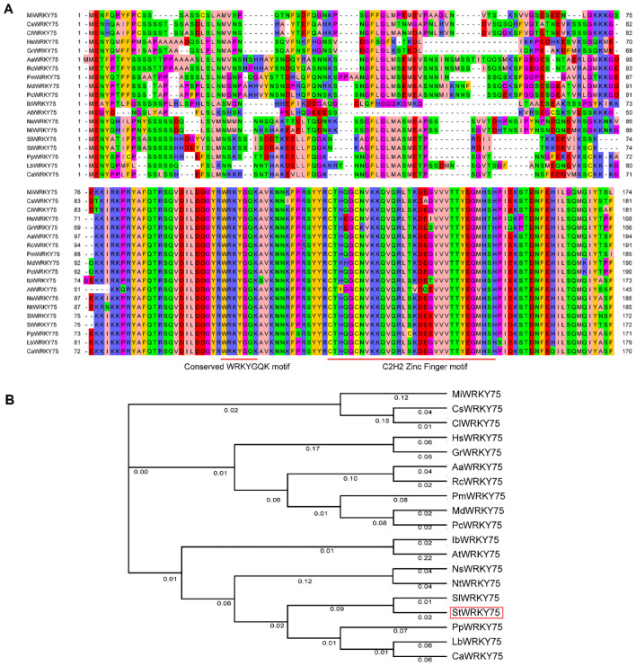 Figure 1