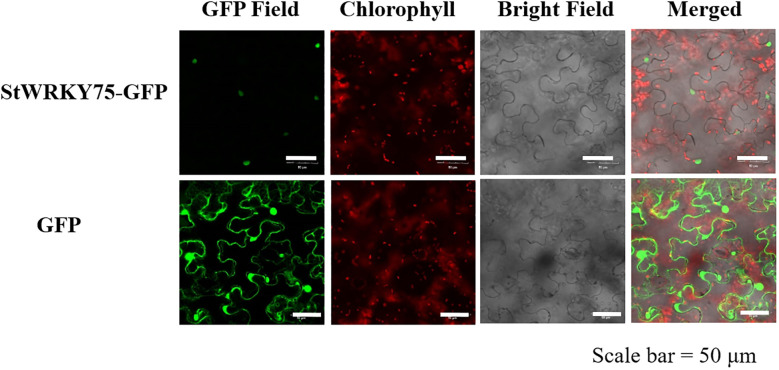 Figure 4