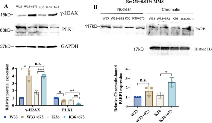 Figure 6
