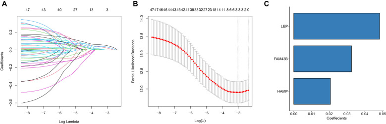 Figure 7