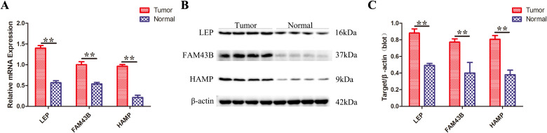 Figure 11