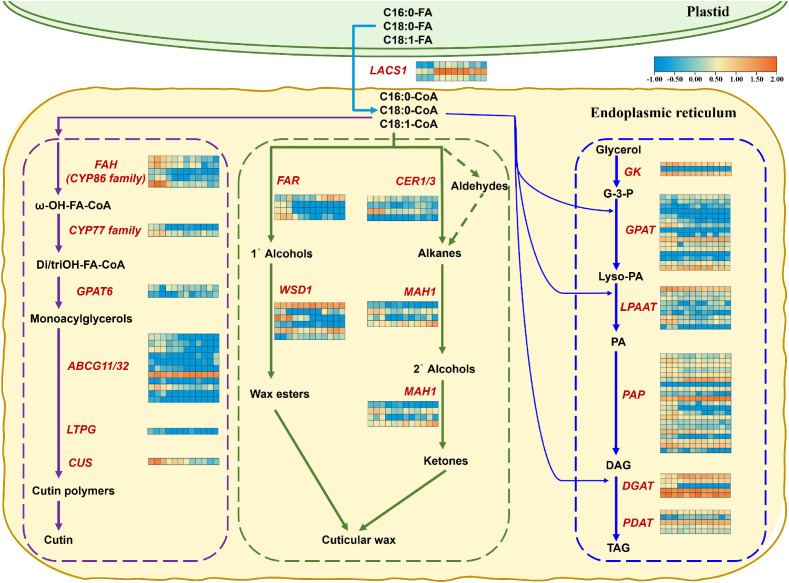 Figure 9