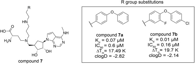 Figure 18