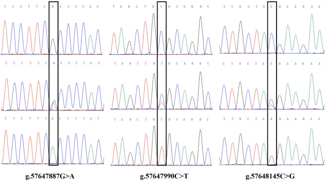Fig 3