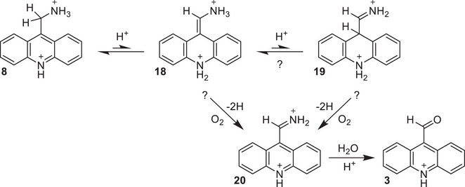 Scheme 4