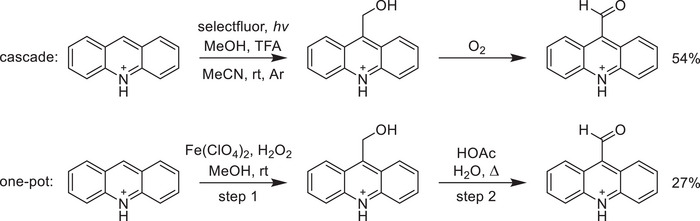 Scheme 5