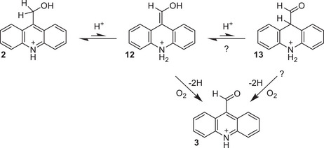 Scheme 2
