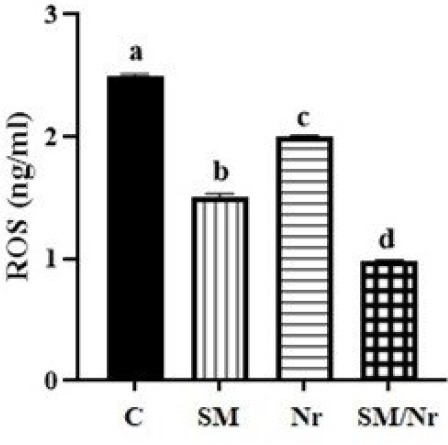Figure 5