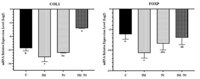 Figure 11