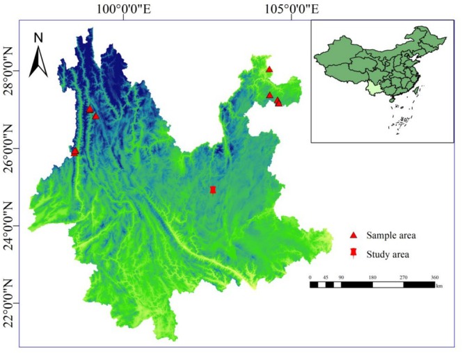 FIGURE 1