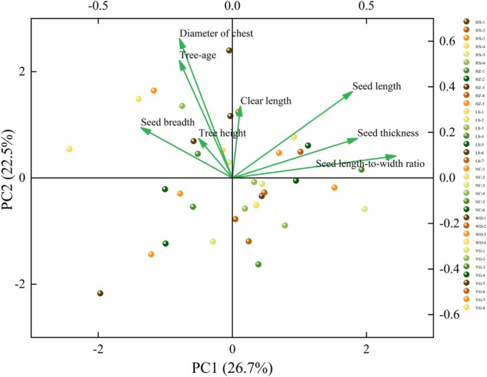FIGURE 6
