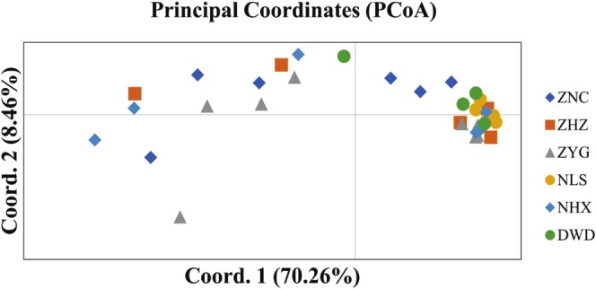 FIGURE 11