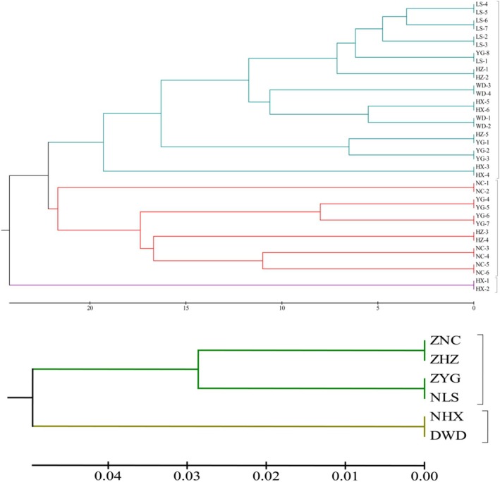 FIGURE 10