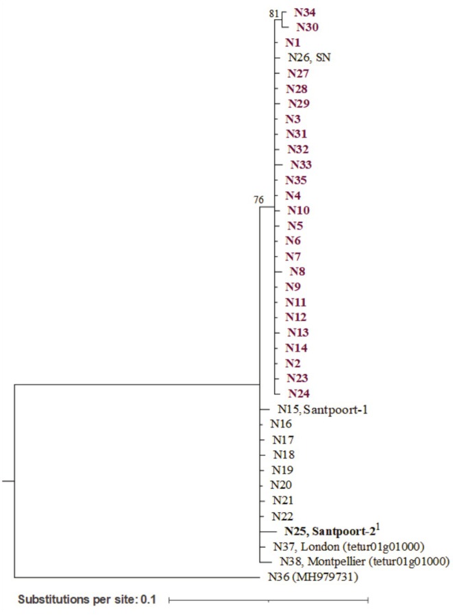FIGURE 3