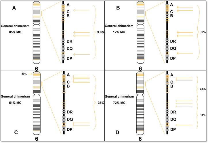 Figure 5