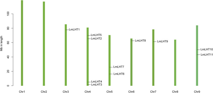 FIGURE 3
