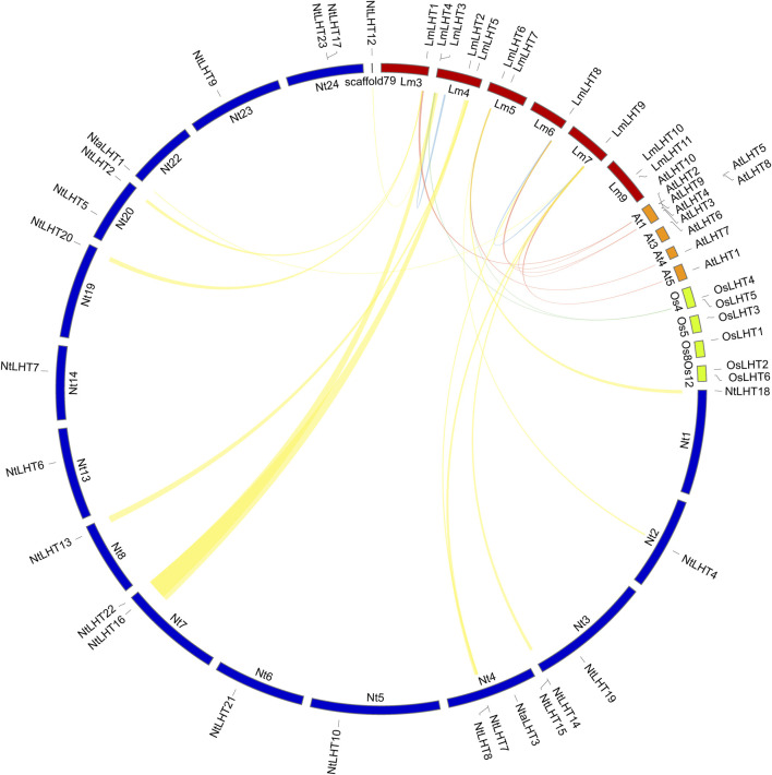 FIGURE 4