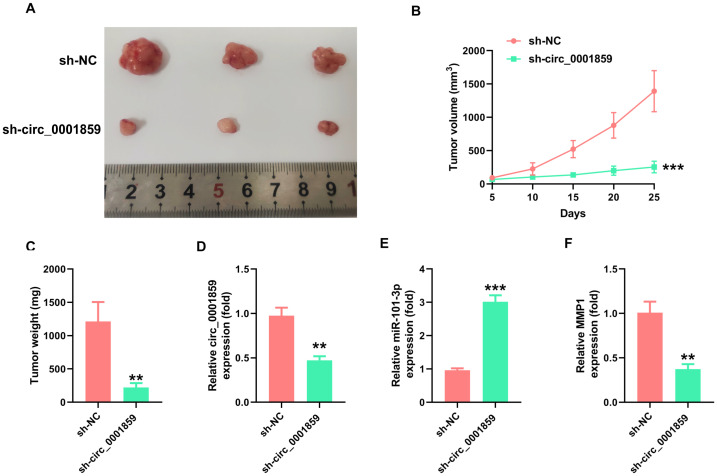 Figure 6