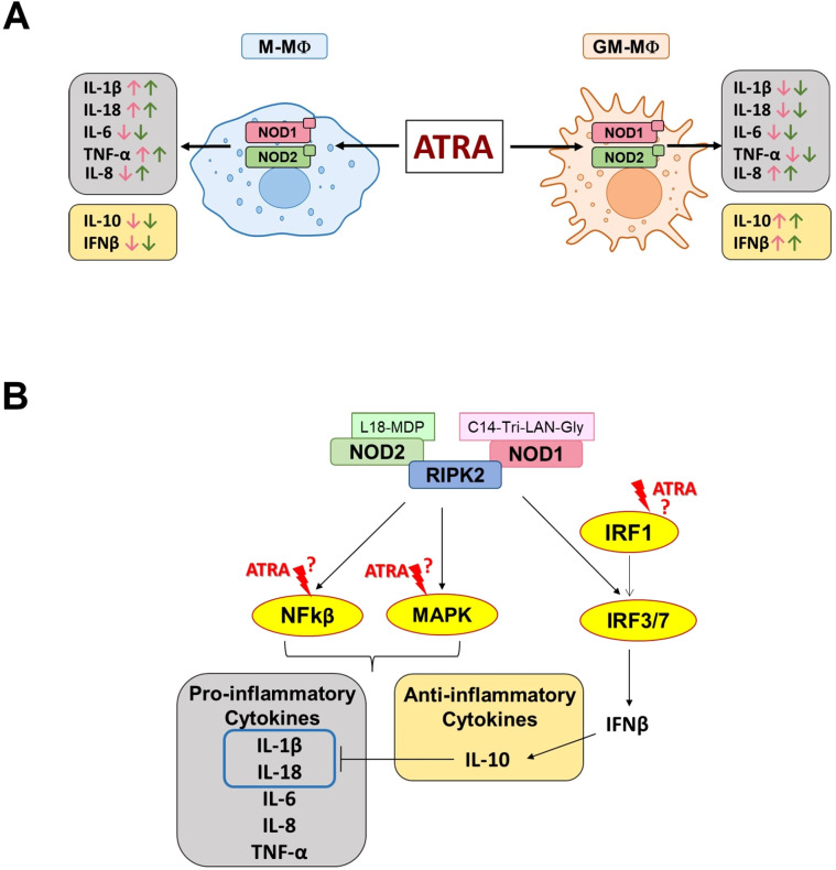 Figure 4