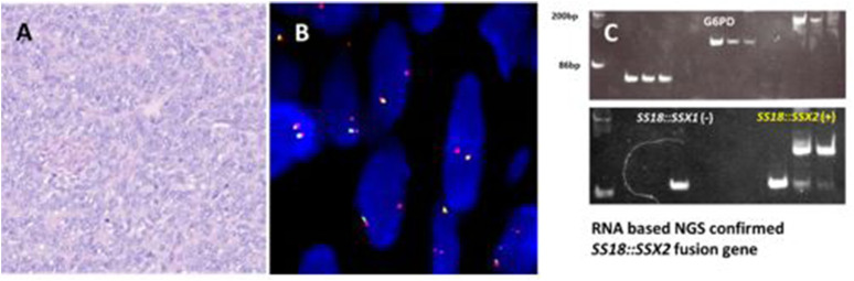 FIGURE 4