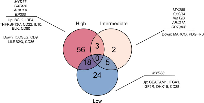Figure 6