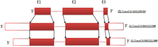 FIGURE 3
