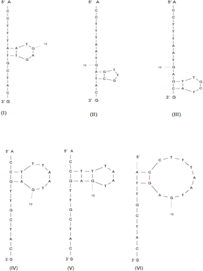 FIGURE 6