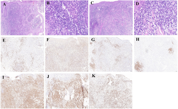 Figure 3