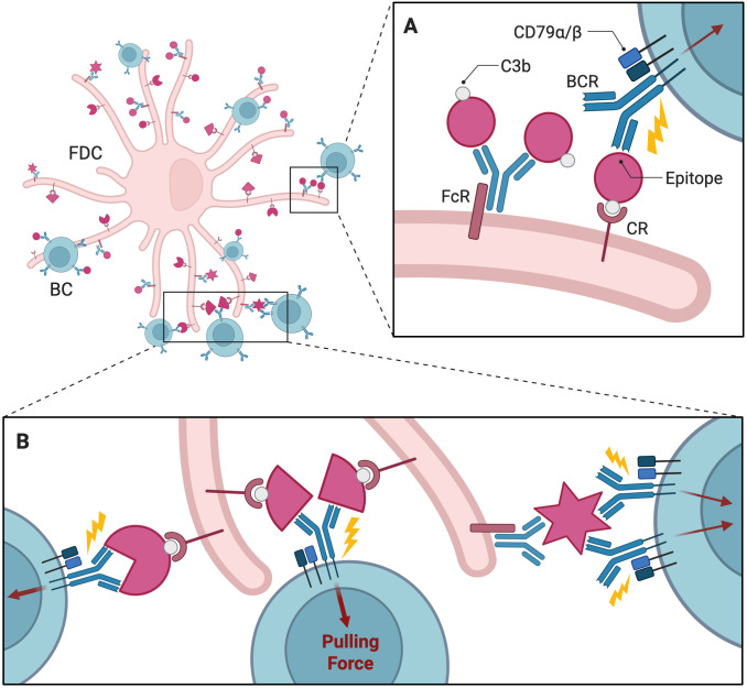 Figure 2