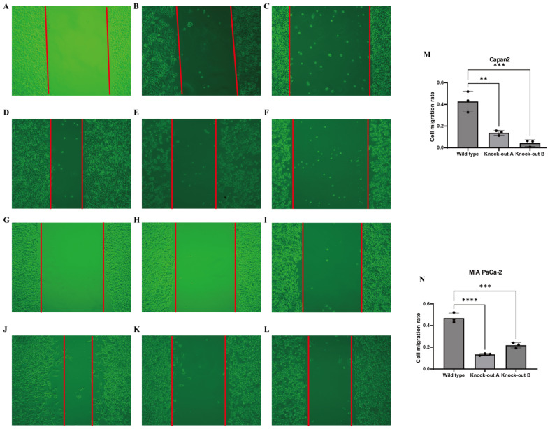 Figure 7