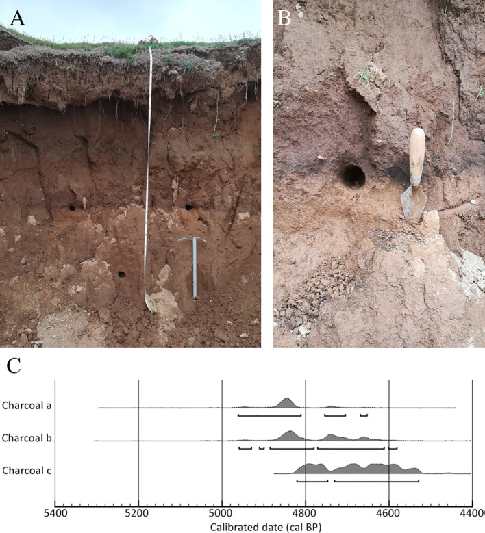 Figure 3