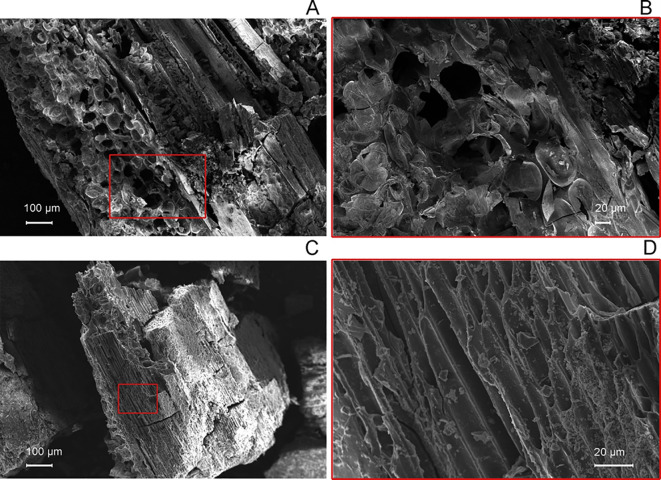 Figure 5