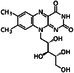 Figure 22