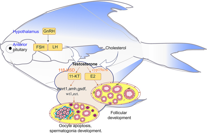 Figure 10