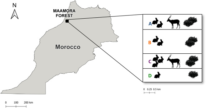 Fig 1