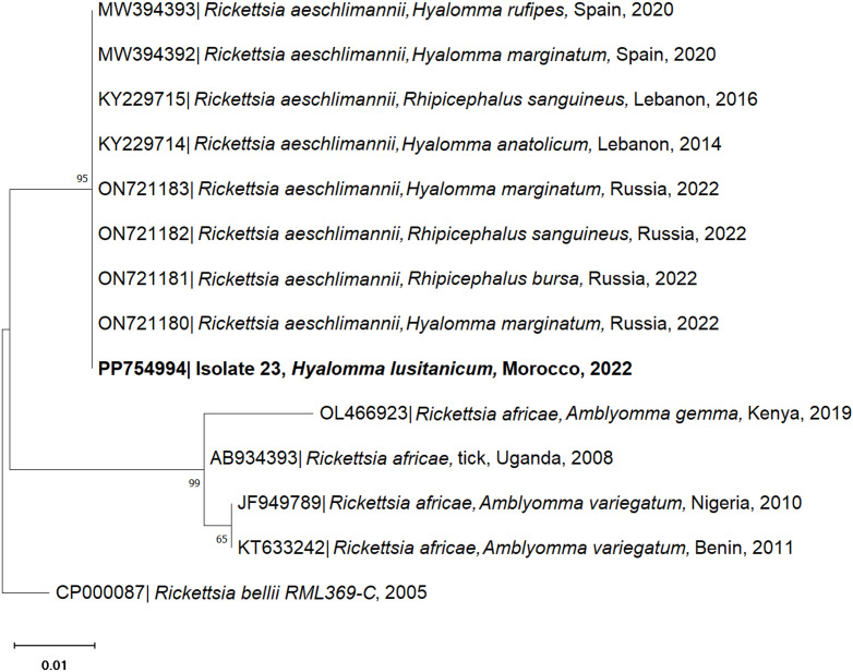 Fig 6