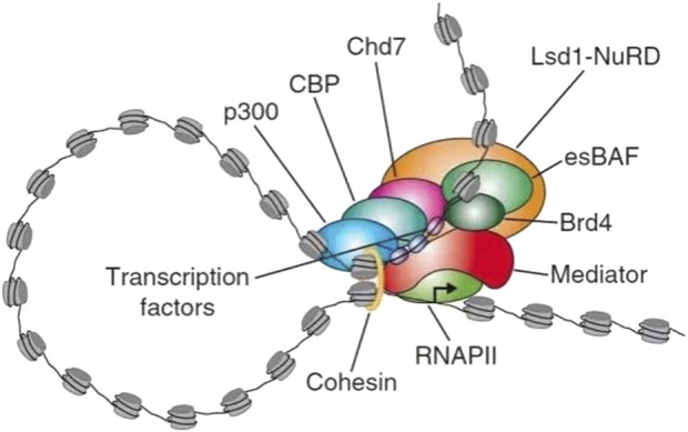 FIGURE 3