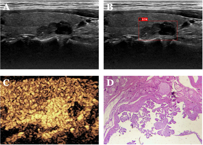 Figure 6