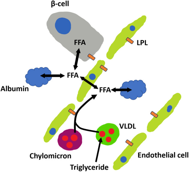 Figure 1