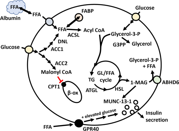 Figure 3