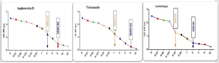FIGURE 2