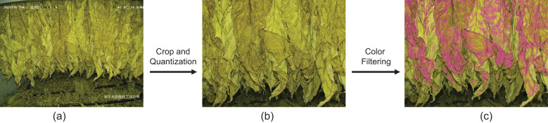Figure 7