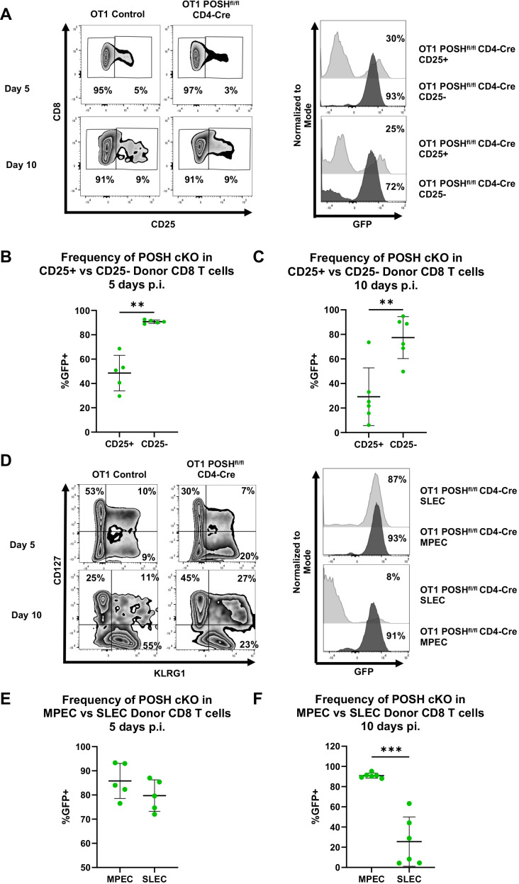 Figure 7