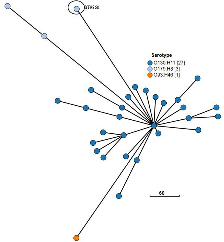 FIGURE 11