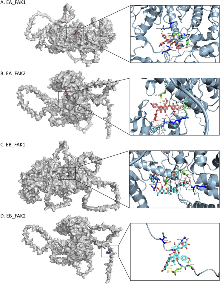 FIGURE 9