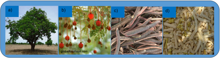 Fig. 2